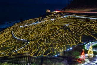 白米千枚田　夜景